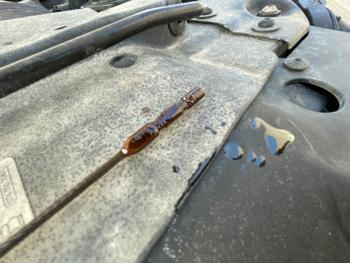 2013 volkswagen jetta se with 195170 miles for sale near elk-river, minnesota 48bcc45af2c54b648afec5d158fa6111.jpeg