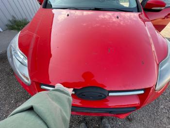 2013 ford focus se-sedan for sale near elk-river, minnesota 49fd4cd65ade45baa75b6c0e1de402ee.jpeg