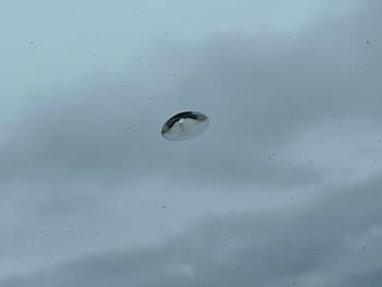 2008 bmw x3 3.0si with 177649 miles for sale near elk-river, minnesota 4b2590676e734f7c8b0cc82c7eb21057.jpeg