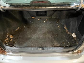 2005 Honda Accord