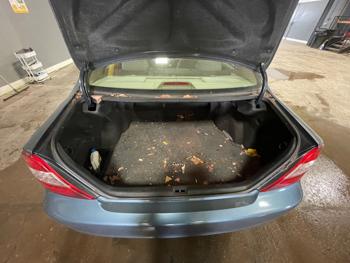 2003 toyota camry le with 180298 miles for sale near elk-river, minnesota 4ba94e7963834fe98cdc91ebfbfe686f.jpeg