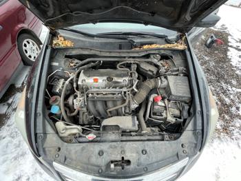 2012 honda accord ex-sedan-at with 134343 miles for sale near elk-river, minnesota 4d50ad73953243ef9597916bed96abe0.jpeg