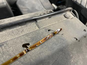 2015 ford edge sel-awd with 111403 miles for sale near elk-river, minnesota 4d5318f5d6474837b9826ccd247a7afa.jpeg