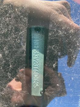 2003 lincoln town-car cartier with 147179 miles for sale near elk-river, minnesota 4e852f8cc2a142f2821b40cd72b4ed86.jpeg