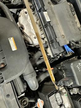 2010 hyundai elantra-touring gls-automatic with 230843 miles for sale near elk-river, minnesota 506e2b0aaec1450f9ed10cd8c9692a54.jpeg