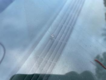 2005 chevrolet classic fleet with 133386 miles for sale near elk-river, minnesota 50ef5faa7be74198972d063e9dd95580.jpeg