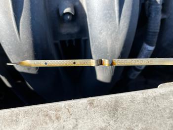 2010 ford focus se-sedan with 147922 miles for sale near elk-river, minnesota 5358857a753648838195bb09b4ad9c4d.jpeg