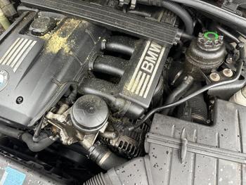 2007 bmw 3-series-sport-wagon 328xi with 164488 miles for sale near elk-river, minnesota 551d86669a1d40c8be46a482561666b0.jpeg