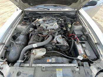2001 ford mustang for sale near elk-river, minnesota 58b09298b2664b8f94b6b12f0e415ea5.jpg