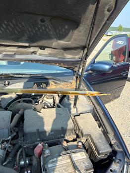 2002 toyota camry le with 134711 miles for sale near elk-river, minnesota 58c123c4fa204cdd998f3dedc11a20fa.jpeg