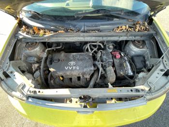 2006 scion xb wagon with 319203 miles for sale near elk-river, minnesota 5d18569d607e4252884c96551d2954eb.jpeg