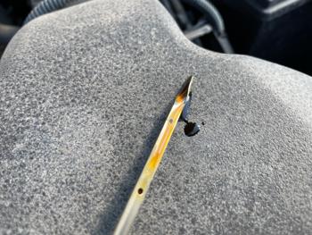 2009 toyota sienna ce-fwd-7-passenger with 318979 miles for sale near elk-river, minnesota 5de8af9e21f04a54a56e63a42c0c8095.jpeg