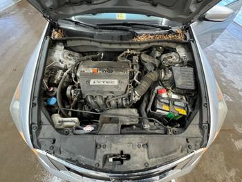 2009 honda accord lx-p-sedan-at with 99419 miles for sale near elk-river, minnesota 5e8053b098d74b7ca59e8dca70e6b73d.jpeg