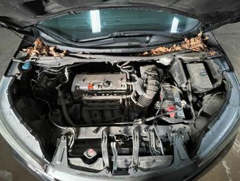 2013 honda cr-v ex with 111068 miles for sale near elk-river, minnesota 63081011431a42588d0e4c18f2e04693.jpg