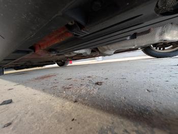 2012 ford focus sel with 221050 miles for sale near elk-river, minnesota 63219c745e574a59b5a17caf6bfeff35.jpg