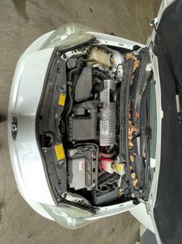 2011 toyota prius prius-ii with 235980 miles for sale near elk-river, minnesota 6340a1db48d645d38989eb438265e3ec.jpeg