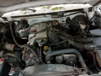 1993 ford f-150 s-reg.-cab-short-bed-2wd with 183885 miles for sale near elk-river, minnesota 640bd9ed9c9c4514bff94cae7baa71f0.jpg