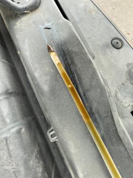 2008 hyundai tiburon gs with 75687 miles for sale near elk-river, minnesota 65b447f575a745e799ab38426d368630.jpeg