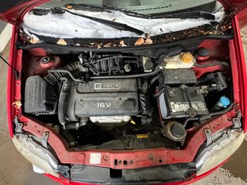 2005 chevrolet aveo special-value-5-door with 134023 miles for sale near elk-river, minnesota 6703c893d01d4473bc064cce84d1f80c.jpeg