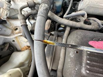 1997 ford escort base with 69891 miles for sale near elk-river, minnesota 68468c9b06ce4856b70a5fea119d60b1.jpeg