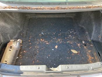 2000 honda accord lx-v-6-coupe for sale near elk-river, minnesota 68d514f9cd574256a22b48c0107e1c1c.jpeg