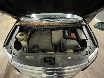 2013 ford edge se-fwd with 176655 miles for sale near elk-river, minnesota 68e742fdeafe42e5b764679e4512ac33.jpeg