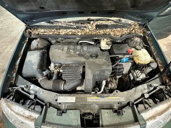 2007 saturn ion 2-sedan-automatic with 52310 miles for sale near elk-river, minnesota 692d813650ee4ac692c56bfe442287f4.jpeg