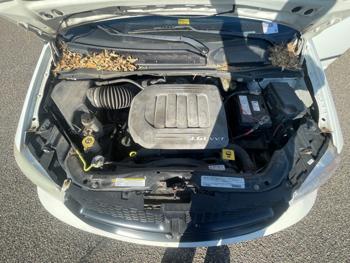 2012 ram cargo-van base for sale near fridley, minnesota 6b0773a92a484800a9794d3dd0469f52.jpeg