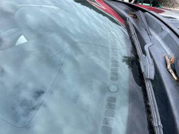2016 hyundai veloster base-6mt with 131860 miles for sale near elk-river, minnesota 6b383ca953be45afb3b9274534195b35.jpeg