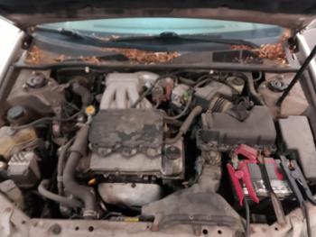 2002 toyota camry le-v6 with 236645 miles for sale near elk-river, minnesota 6c60eaf73f7544d394fb8500833020d8.jpg