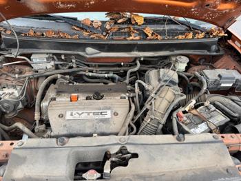 2006 honda element ex-p-4wd-at with 204695 miles for sale near elk-river, minnesota 6db850ac55544bda9ea3b8cc5eba9f2b.jpg