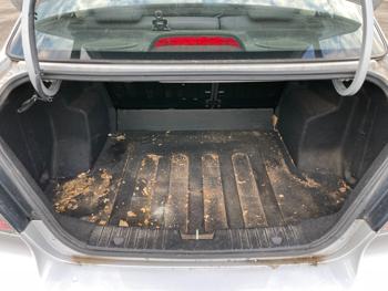 2007 chevrolet aveo ls-4-door with 165444 miles for sale near elk-river, minnesota 6e03f3221b524bcbbd4c183715cf4527.jpeg