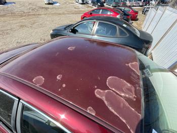 1999 buick regal ls for sale near elk-river, minnesota 6ec3e5b47eed4b5a90e103e9d9970197.jpeg