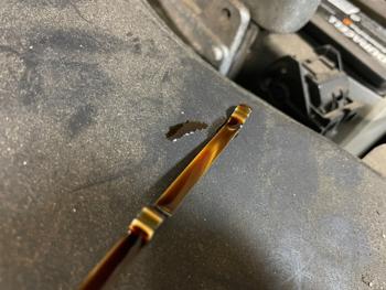 2011 nissan maxima sv with 175053 miles for sale near elk-river, minnesota 70bd4c35b85e420aa4f352ba0bc3b6ec.jpeg