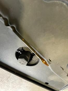 2009 ford focus se-sedan with 174309 miles for sale near elk-river, minnesota 71fb83d13b644eb199565b5d2ca44e33.jpeg