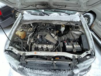 2007 ford escape xlt with 184897 miles for sale near elk-river, minnesota 726b4049f2a447888aaf50f693541842.jpg