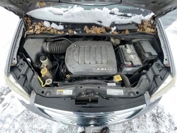 2013 chrysler town-&-country touring with 131164 miles for sale near fridley, minnesota 7a6b7524572745dabe29f283b96b0a40.jpeg