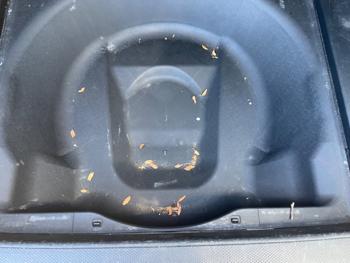 2003 honda cr-v lx-4wd-4-spd-at with 187107 miles for sale near rochester, minnesota 7b3b697213154b9fb1904fb92f98b3fb.jpeg