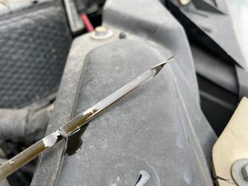 2010 dodge grand-caravan hero with 183494 miles for sale near elk-river, minnesota 7ce114948bc549b69bd650364d8c9031.jpeg