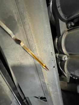 2007 volvo s40 2.4i with 170036 miles for sale near elk-river, minnesota 7e51de59703b4bf9b6601318d25f2a07.jpeg