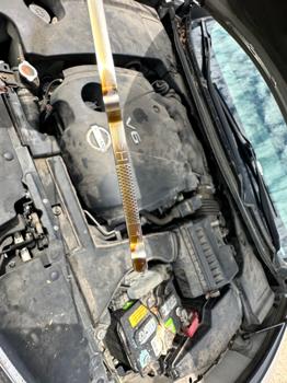 2010 nissan maxima sv with 235833 miles for sale near elk-river, minnesota 8021c67f04714a318dfa825127a0b53c.jpeg