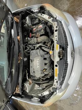 2006 toyota scion-xa with 210183 miles for sale near elk-river, minnesota 810e2df8c90244bb857c1d972c2281f5.jpg