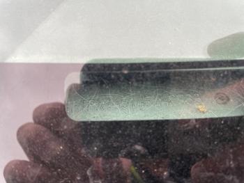 2004 ford f-150 xl-supercab-4wd with 113212 miles for sale near spring-lake-park, minnesota 82544d036b14477387e1ae97f333515e.jpeg