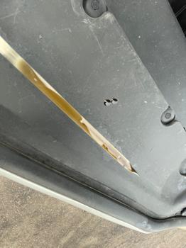 2014 hyundai accent gls-4-door with 168208 miles for sale near elk-river, minnesota 8773ea644bd5480aa33f5c7015f32044.jpeg