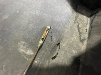 2009 chevrolet malibu ls with 186986 miles for sale near elk-river, minnesota 88a3ca23e042425da9fc4d0486f1b916.jpeg