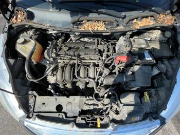 2013 ford fiesta se-sedan with 154356 miles for sale near elk-river, minnesota 88da4f1026794d6b8e383f47b4e7d04c.jpeg