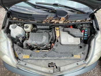 2005 Toyota Prius
