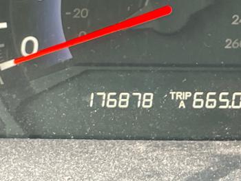2009 honda odyssey ex-l with 176876 miles for sale near lake-elmo, minnesota 8abba4b33e2b47d79ac44d775fdc4dec.jpeg
