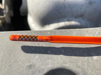 2008 honda civic lx-coupe-at with 199170 miles for sale near elk-river, minnesota 8b853c8a0cd5484a877d2e21538e64bb.jpeg