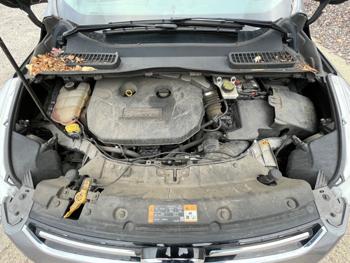 2013 ford escape sel-4wd with 108142 miles for sale near elk-river, minnesota 8da49916b3934a13811d92282696557d.jpeg